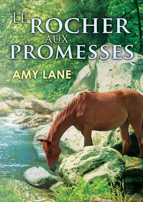 Cover of the book Le rocher aux promesses by Amy Lane, Dreamspinner Press