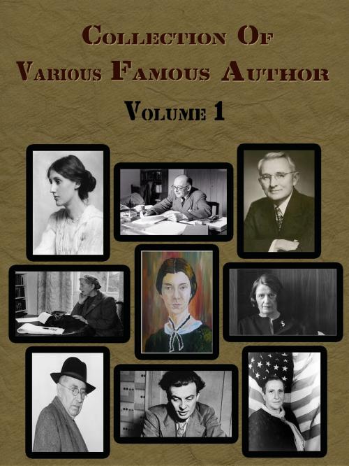 Cover of the book Collection Of Various Famous Authors Volume 1 by Various Author, NETLANCERS INC