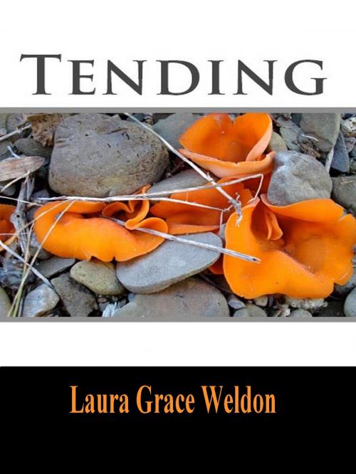 Cover of the book Tending by Laura Grace Weldon, Laura Grace Weldon