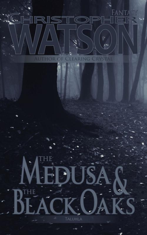 Cover of the book The Medusa & The Black Oaks by Christopher Watson, Elsewhere Publishing