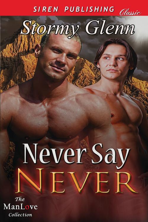 Cover of the book Never Say Never by Stormy Glenn, Siren-BookStrand