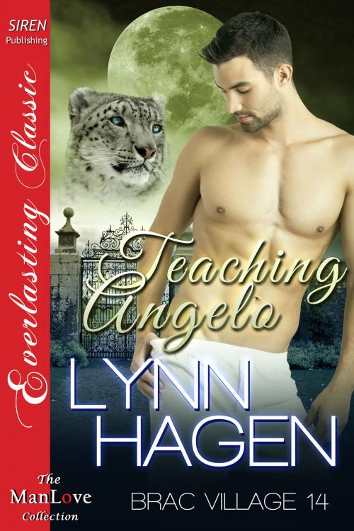 Cover of the book Teaching Angelo by Lynn Hagen, Siren-BookStrand
