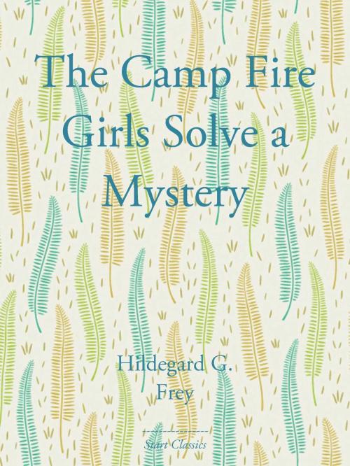 Cover of the book The Camp Fire Girls Solve a Mystery by Hildegard G. Frey, Start Classics