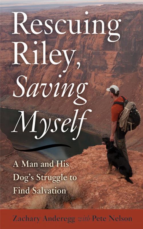 Cover of the book Rescuing Riley, Saving Myself by Zachary Anderegg, Pete Nelson, Skyhorse Publishing