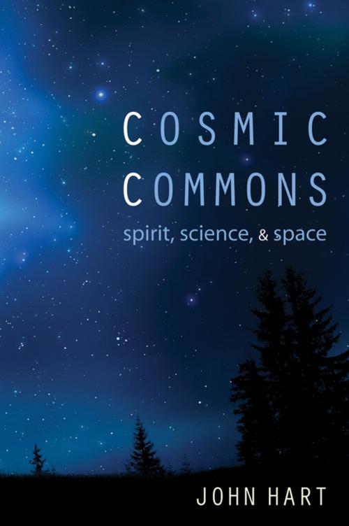 Cover of the book Cosmic Commons by John Hart, Wipf and Stock Publishers