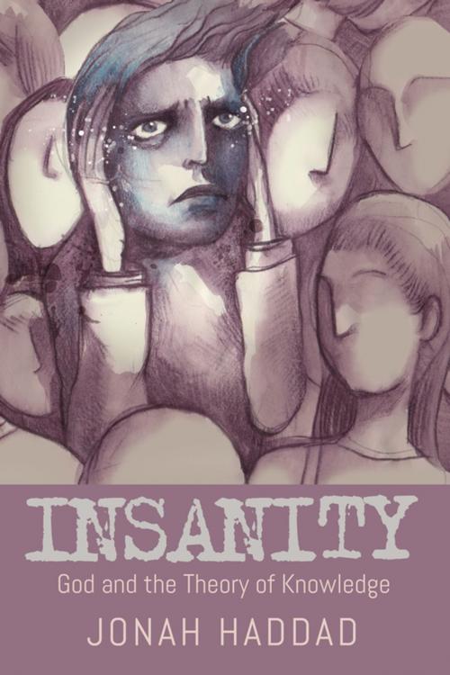 Cover of the book Insanity by Jonah Haddad, Wipf and Stock Publishers