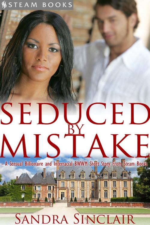 Cover of the book Seduced by Mistake - A Sensual Billionaire and Interracial BWWM Erotic Romance from Steam Books by Sandra Sinclair, Steam Books, Steam Books