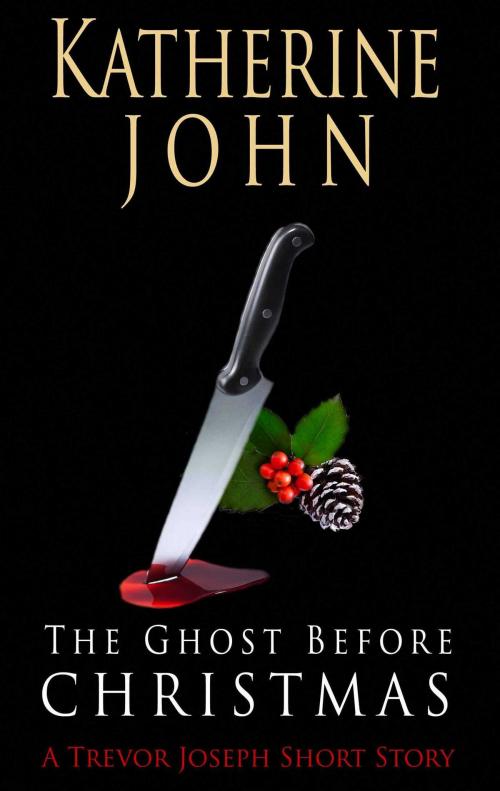 Cover of the book The Ghost Before Christmas by Katherine John, Accent Press