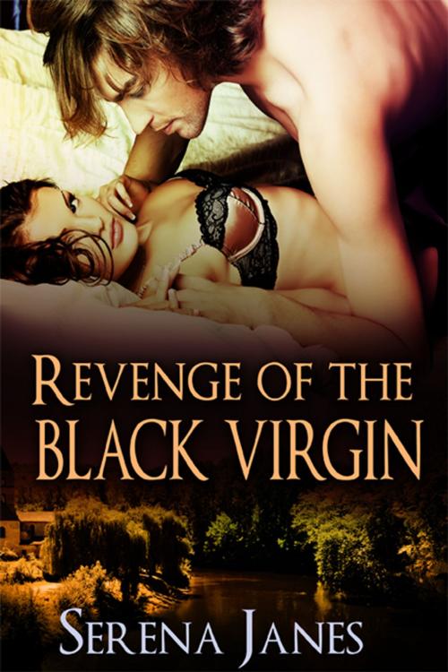 Cover of the book Revenge of the Black Virgin by Serena Janes, eXtasy Books Inc