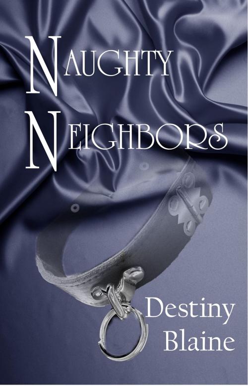 Cover of the book Naughty Neighbors by Destiny Blaine, Champagne Book Group