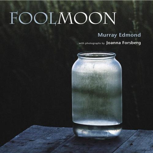 Cover of the book Fool Moon by Murray Edmond, Auckland University Press