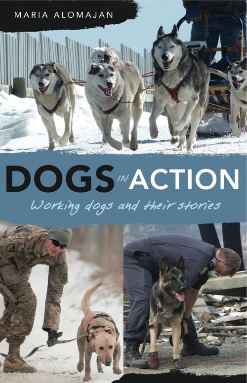 Cover of the book Dogs in Action by Alomajan, Maria, Exisle Publishing