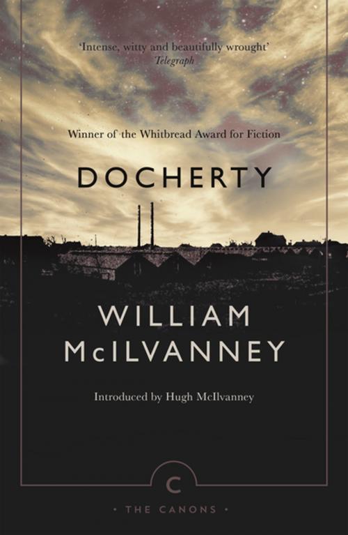 Cover of the book Docherty by William McIlvanney, Canongate Books