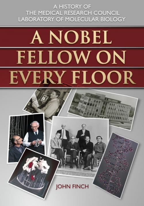Cover of the book A Nobel Fellow on Every Floor by John Finch, Icon Books Ltd