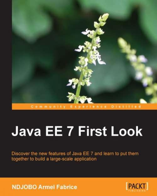 Cover of the book Java EE 7 First Look by NDJOBO Armel Fabrice, Packt Publishing