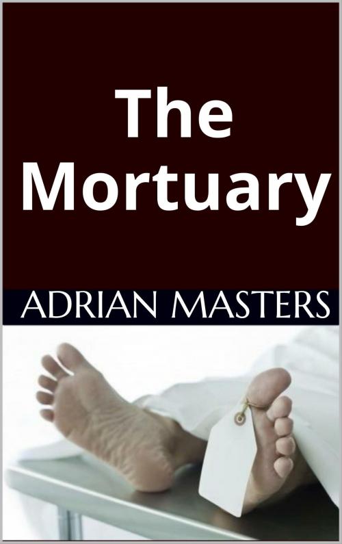 Cover of the book The Mortuary by Adrian Masters, Book Treasury
