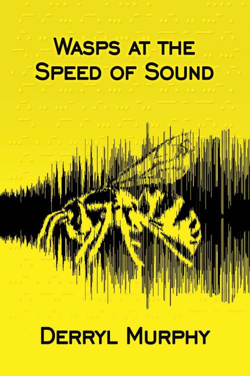 Cover of the book Wasps at the Speed of Sound by Derryl Murphy, Five Rivers Publishing