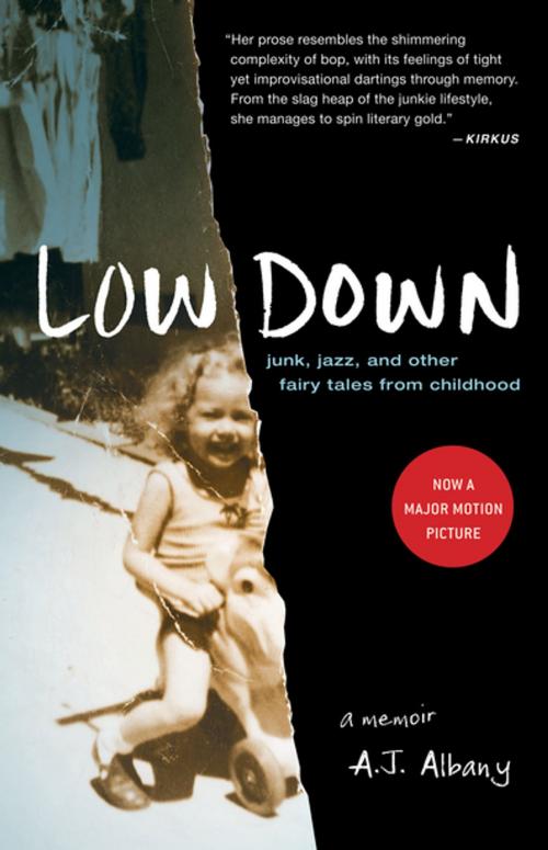 Cover of the book Low Down: Junk, Jazz, and Other Fairy Tales from Childhood by A.J. Albany, Tin House Books