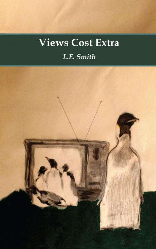 Cover of the book Views Cost Extra by L.E. Smith, Fomite