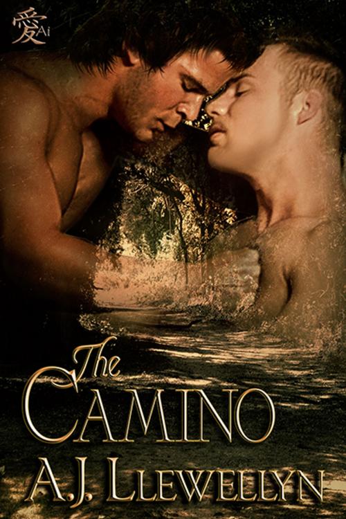 Cover of the book The Camino by A.J. Llewellyn, Ai Press
