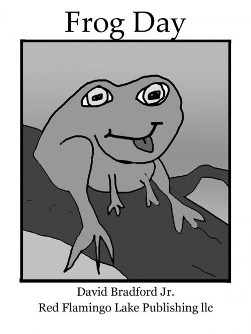 Cover of the book Frog Day by David Bradford Jr., Red Flamingo Lake Publishing llc