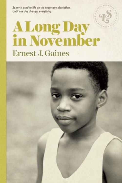 Cover of the book A Long Day in November by Ernest J. Gaines, Ig Publishing