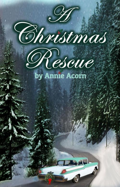 Cover of the book A Christmas Rescue by Annie Acorn, Annie Acorn Publishing LLC