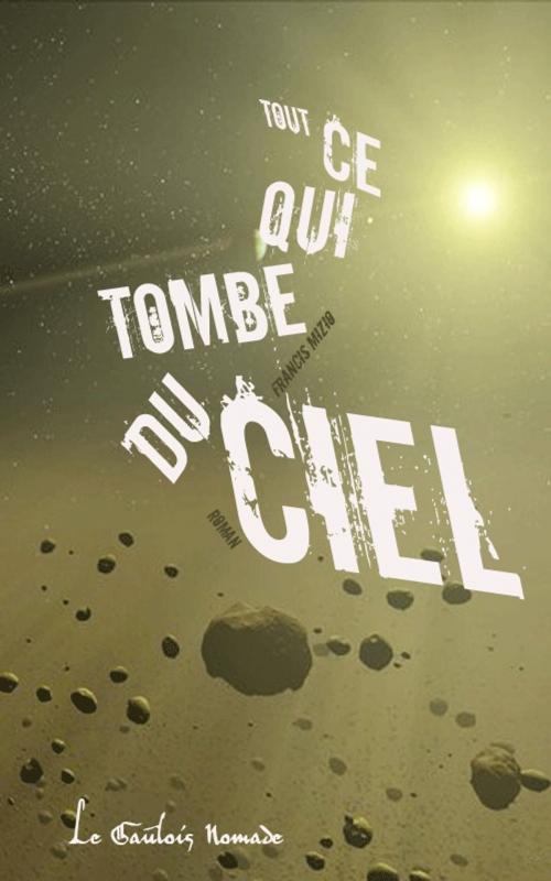 Cover of the book Tout ce qui tombe du ciel by Francis Mizio, Le Gaulois nomade®