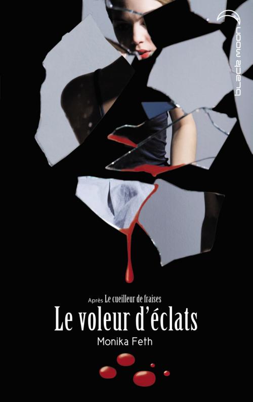 Cover of the book Le voleur d'éclats by Monika Feth, Hachette Black Moon