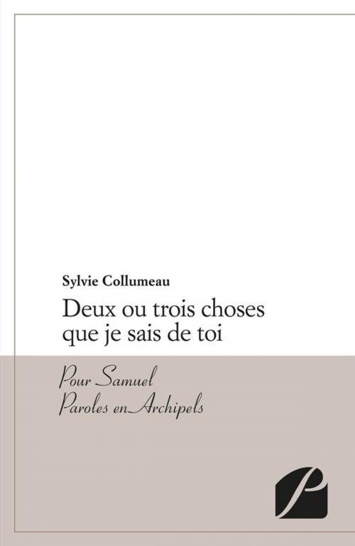 Cover of the book Deux ou trois choses que je sais de toi by Sylvie Collumeau, Editions du Panthéon