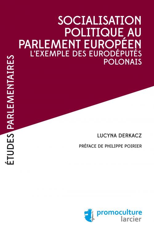 Cover of the book Socialisation politique au Parlement européen by Lucyna Derkacz, Philippe Poirier, Éditions Larcier