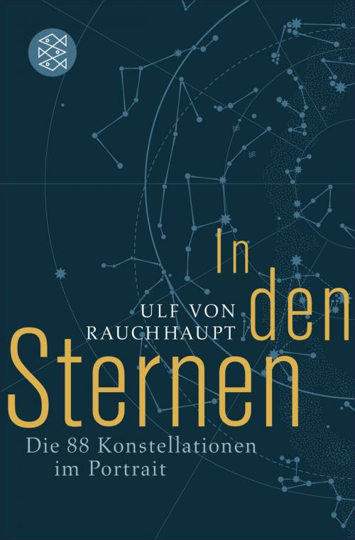 Cover of the book In den Sternen by Ulf von Rauchhaupt, FISCHER E-Books