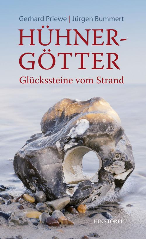 Cover of the book Hühnergötter by Gerhard Priewe, Jürgen Bummert, Hinstorff Verlag