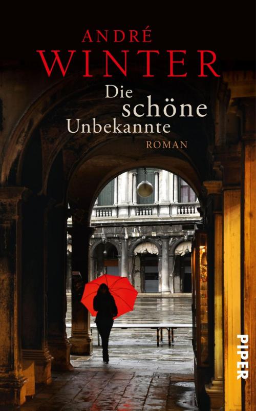 Cover of the book Die schöne Unbekannte by André Winter, Piper ebooks