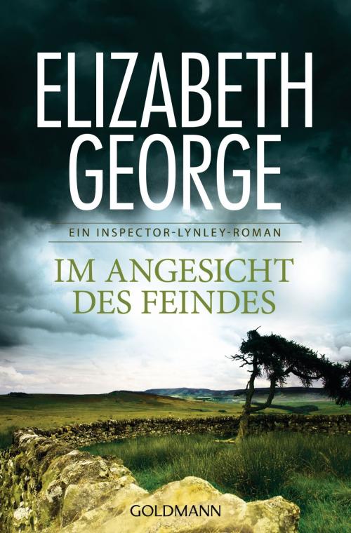 Cover of the book Im Angesicht des Feindes by Elizabeth George, Goldmann Verlag