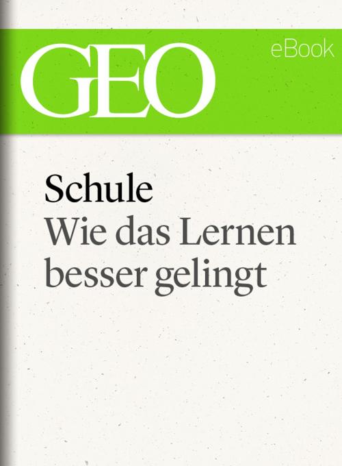 Cover of the book Schule: Wie das Lernen besser gelingt (GEO eBook) by , GEO