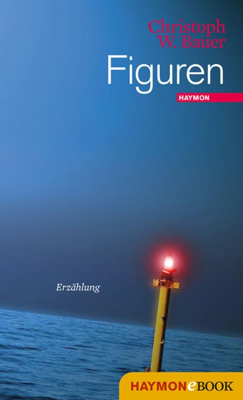 Cover of the book Figuren by Christoph W. Bauer, Haymon Verlag