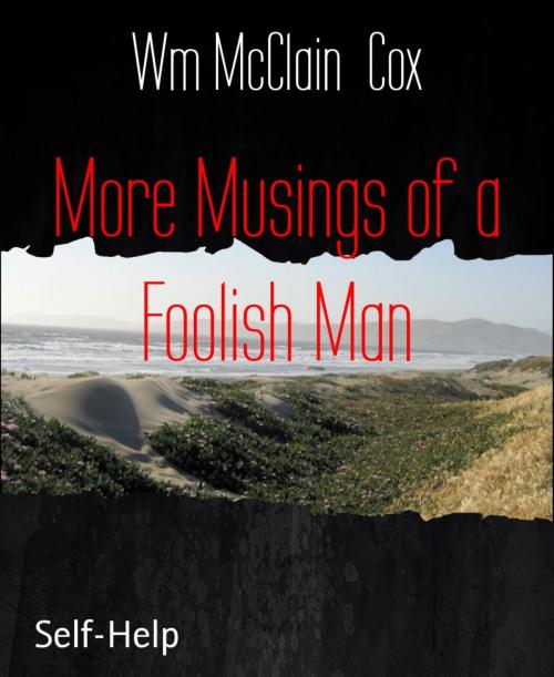 Cover of the book More Musings of a Foolish Man by Wm McClain Cox, BookRix