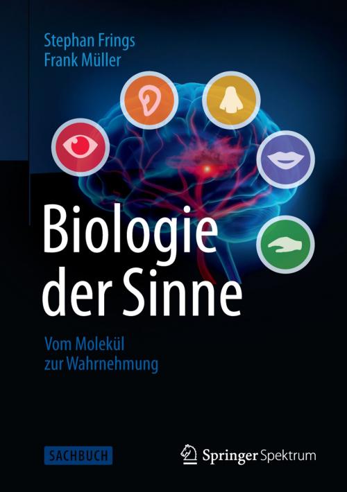 Cover of the book Biologie der Sinne by Frank Müller, Stephan Frings, Springer Berlin Heidelberg