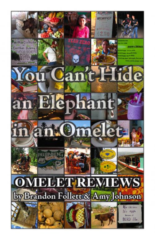 Cover of the book You Can’t Hide an Elephant in an Omelet by Brandon Follett, Amy Johnson, booksmango