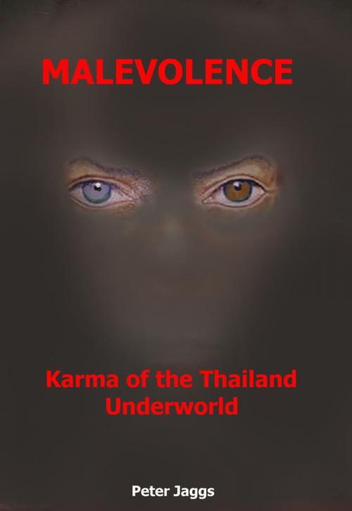 Cover of the book Malevolence by Peter Jaggs, booksmango