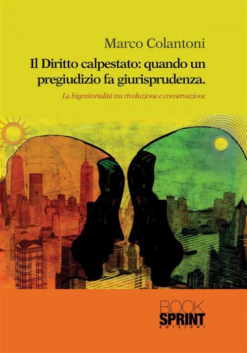 Cover of the book Il Diritto calpestato: quando un pregiudizio fa giurisprudenza by Marco Colantoni, Booksprint