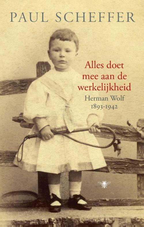 Cover of the book Alles doet mee aan de werkelijkheid by Paul Scheffer, Bezige Bij b.v., Uitgeverij De