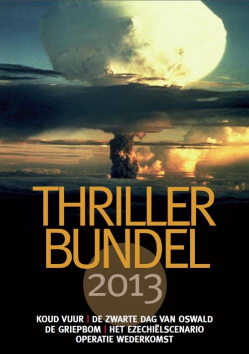Cover of the book Thrillerbundel 2013 by Noel Hynd, Paul Maier, Dick van den Heuvel, Joel C. Rosenberg, Walt Larimore, Paul McCusker, VBK Media