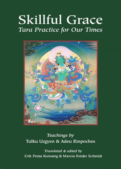 Cover of the book Skillful Grace by Chokgyur Lingpa, Jamgon Kongtrul, Adeu Rinpoche, Rangjung Yeshe Publications
