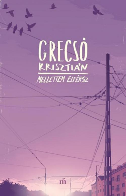 Cover of the book Mellettem elférsz by Grecsó Krisztián, Magvető