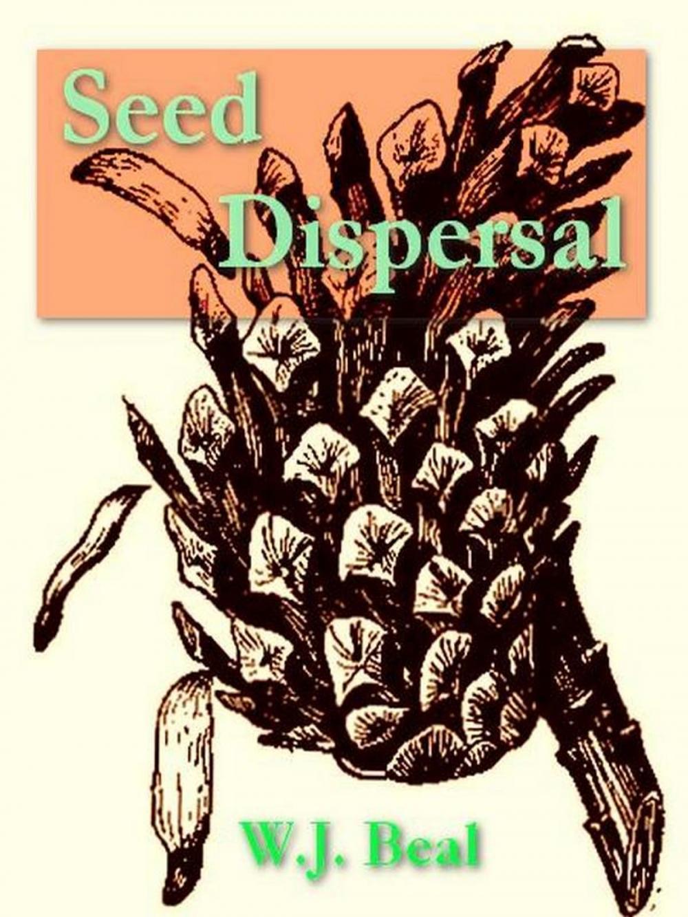 Big bigCover of Seed Dispersal