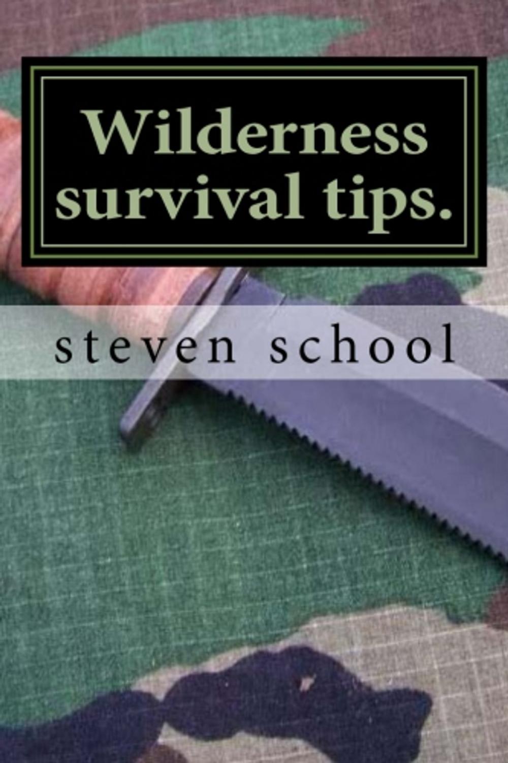 Big bigCover of Wilderness Survival Tips