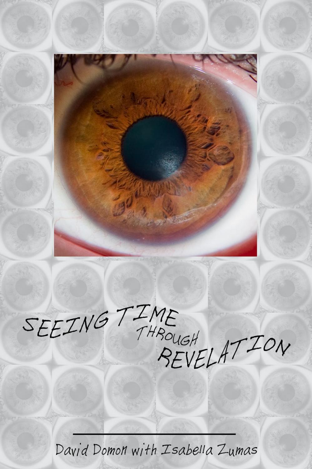 Big bigCover of Seeing Time Through Revelation