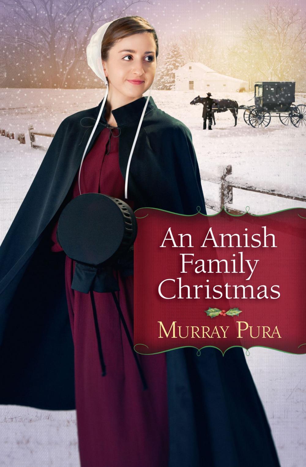 Big bigCover of An Amish Family Christmas